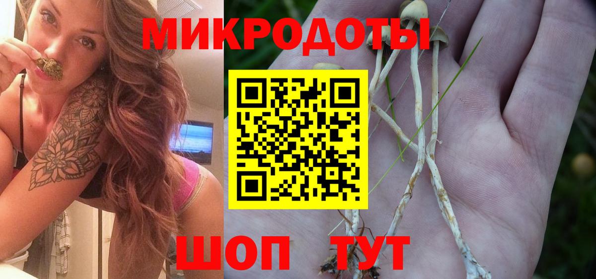 Галлюциногенные грибы Cubensis  закладка  Ульяновск  Вход с VPN 
