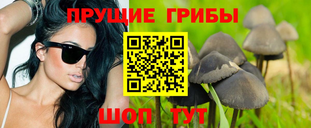 Псилоцибиновые грибы MAGIC MUSHROOMS Ульяновск
